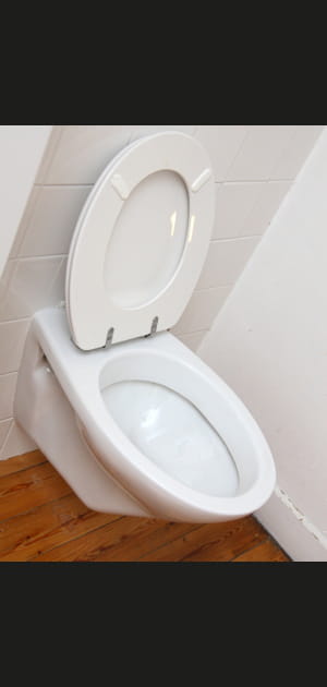 Baisser le battant de la cuvette des&nbsp;toilettes