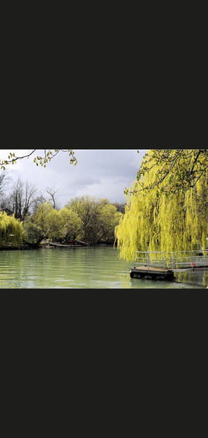 Le-Perreux-sur-Marne&nbsp;: +4,18&nbsp;% sur&nbsp;trois&nbsp;mois