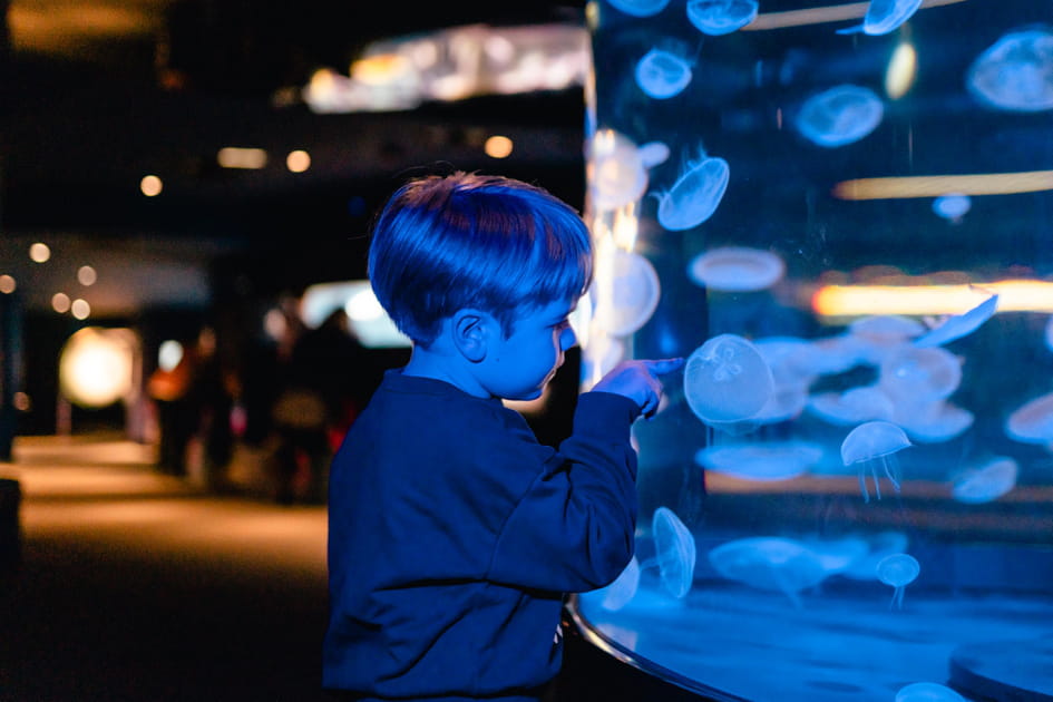 De l'abysse au Titanic, vivez une aventure intense &agrave; la Cit&eacute; de la Mer