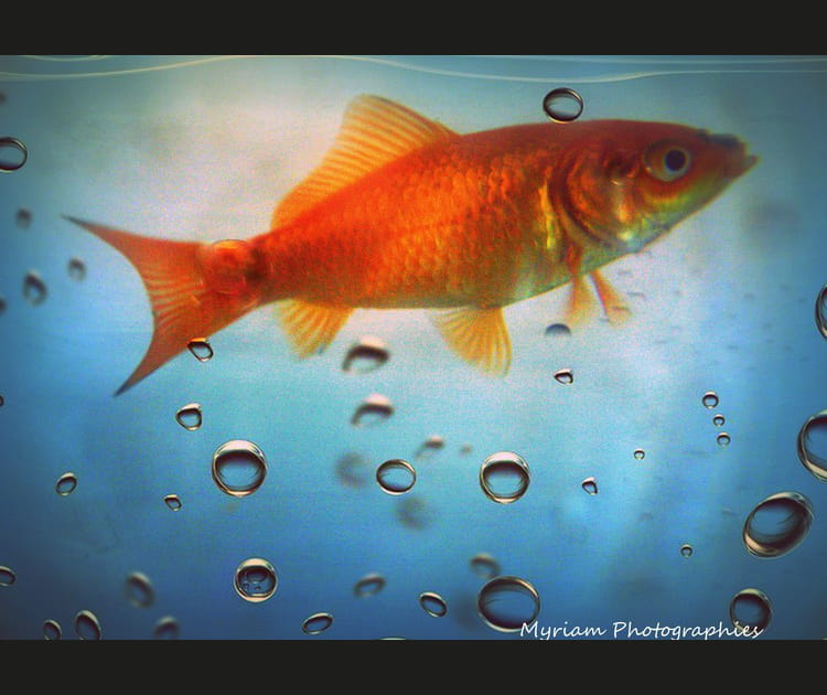 L'image de juillet 2015