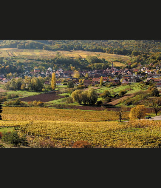 Bergholtz-Zell