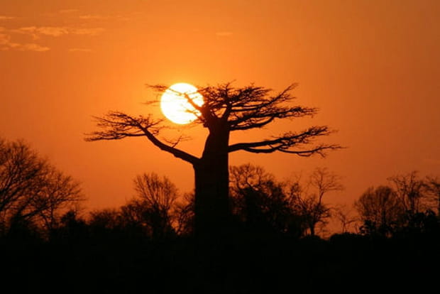 Coucher de soleil