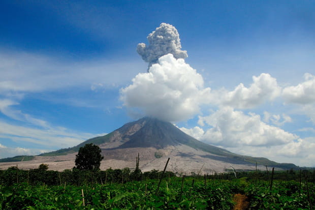 Le Sinabung en Indonésie