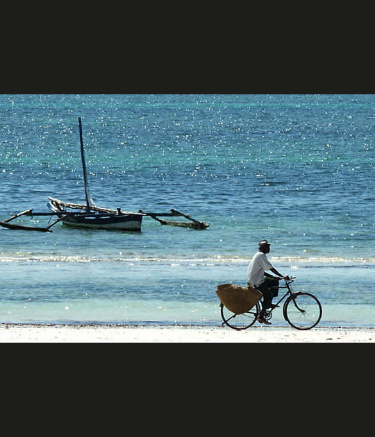 Le cycliste au bord de l'eau