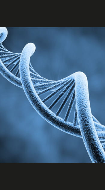 Le d&eacute;tournement de la biologie