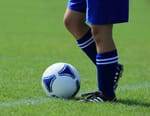 Football : Championnat d'Afrique des Nations