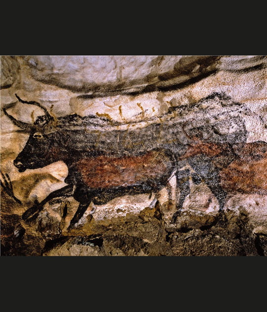 Le grand taureau noir