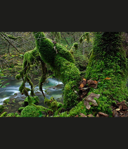 Verdoyante vall&eacute;e de la Loue