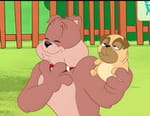 Tom et Jerry Show