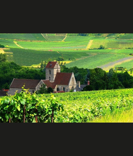 Champagne - Vall&eacute;e de la Marne