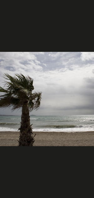 Les vents les plus puissants