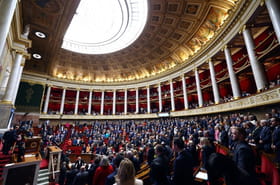 Assembl&eacute;e: la r&eacute;introduction de n&eacute;onicotino&iuml;des joue son match retour en commission