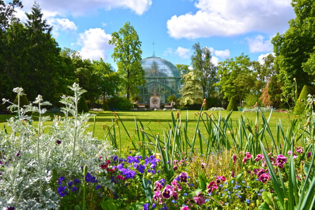 Auteuil