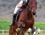 Au galop !