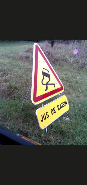 Les dangers m&eacute;connus du raisin...