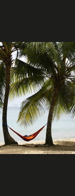 Repos tropical