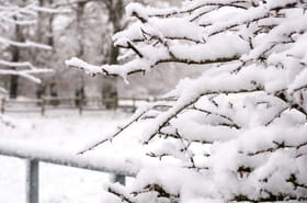 Le plan grand froid activ&eacute;&nbsp;? Les conditions de son d&eacute;clenchement et les mesures qu'il contient