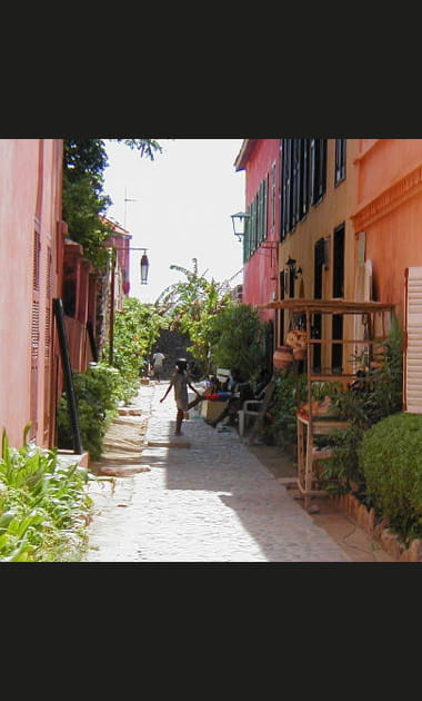 Merveilleux S&eacute;n&eacute;gal