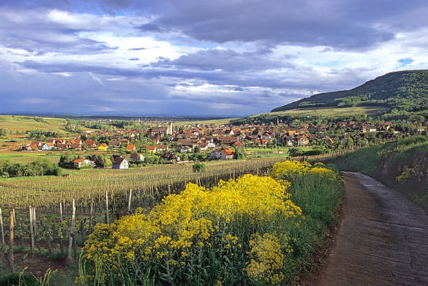 Orschwihr, la légendaire colline des vignerons