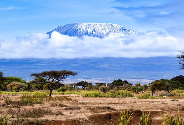 Evasion en Tanzanie, des parcs nationaux aux plages de Zanzibar : sur les flancs du Kilimandjaro