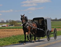 Amish Mafia : La fin des bergers