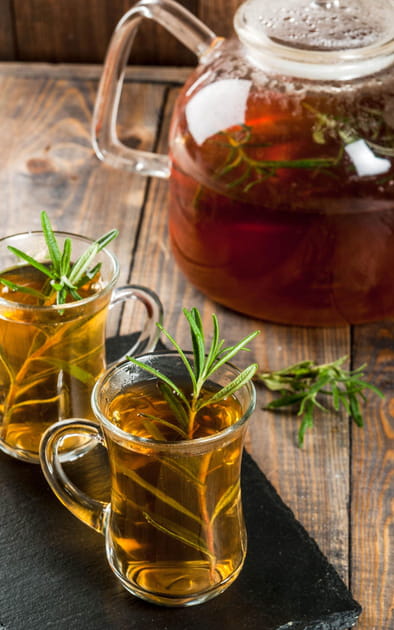Que faire de ses plantes aromatiques&nbsp;?