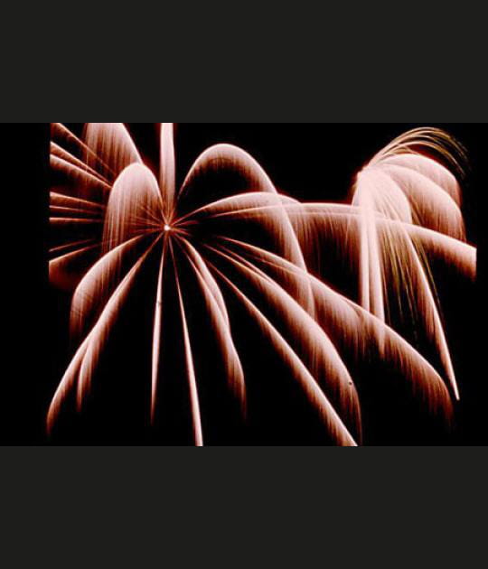 Combustion r&eacute;gl&eacute;e