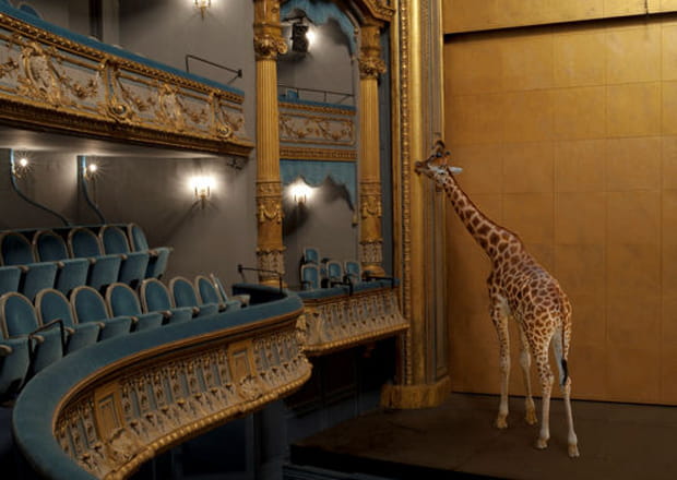 Karen Knorr, Gourmandise