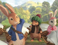 Pierre Lapin : La fête d'anniversaire de Queue-de-Coton