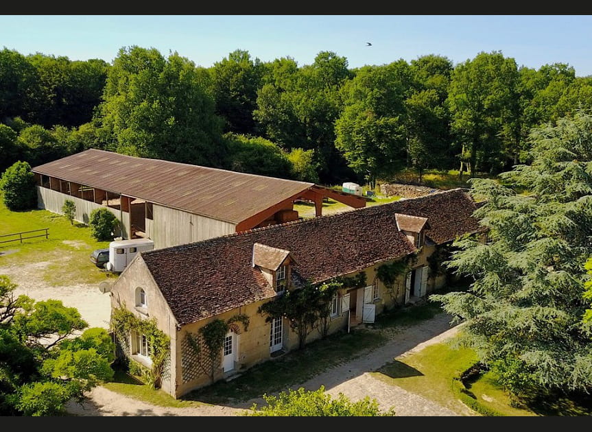 Week-end Yoga, Cheval et Healthy food en for&ecirc;t de Fontainebleau