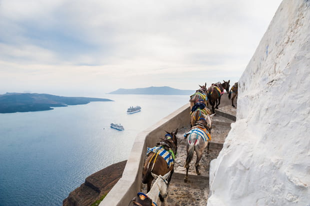 A Santorin, monter sur un âne lorsqu'on est en surpoids