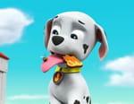 Paw Patrol, la Pat'Patrouille
