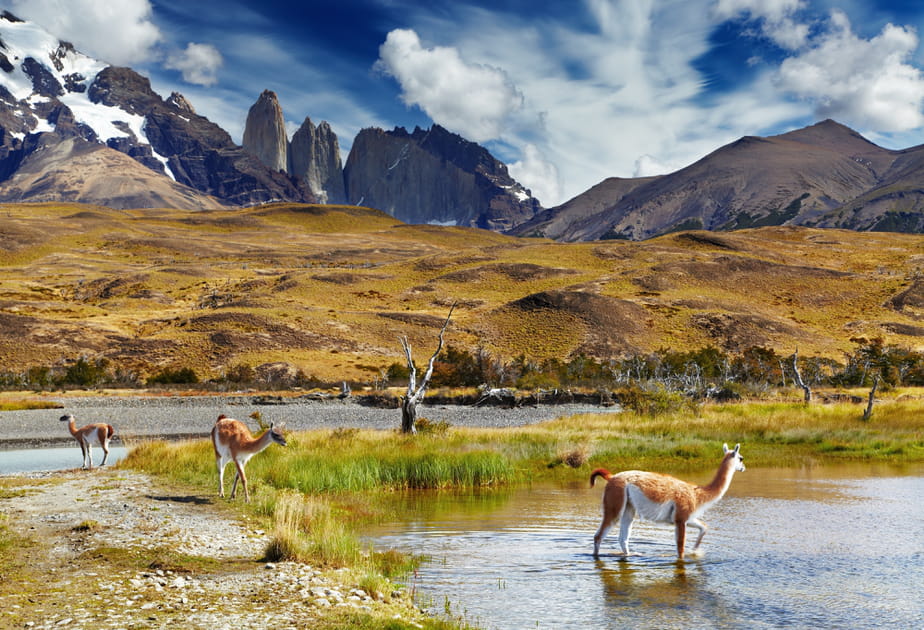 Patagonie