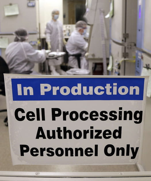 Des antidotes pour immobiliser les cellules canc&eacute;reuses