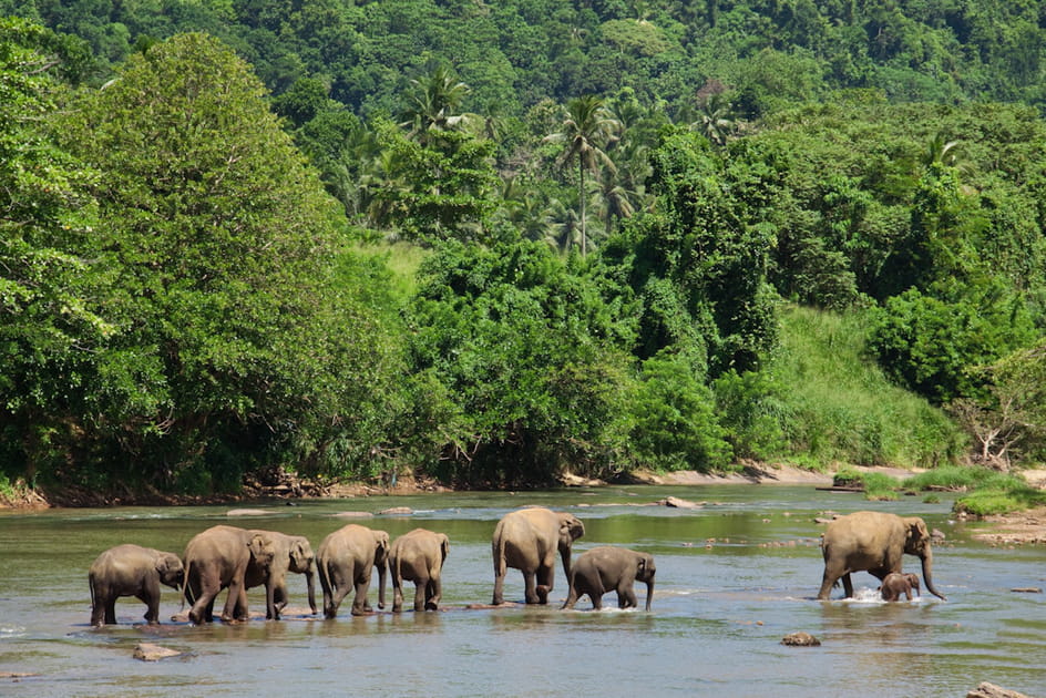 Le Sri Lanka, enfin&nbsp;!