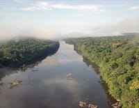 Les parcs naturels... en Minuscule : Guyane