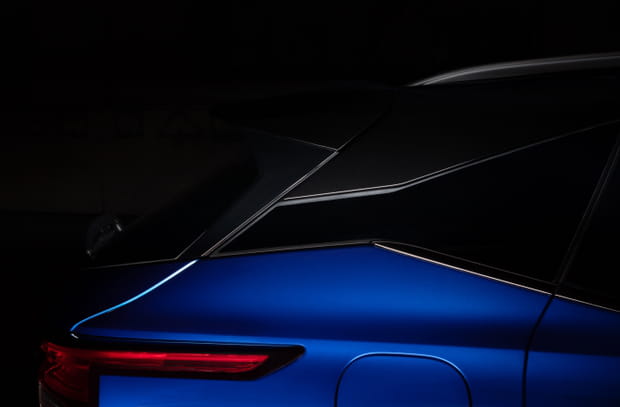 Des ailes imposantes