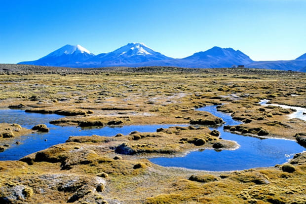 Le parc national Sajama