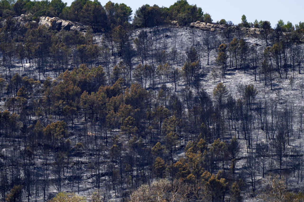 Incendie dans l'Aude : un 