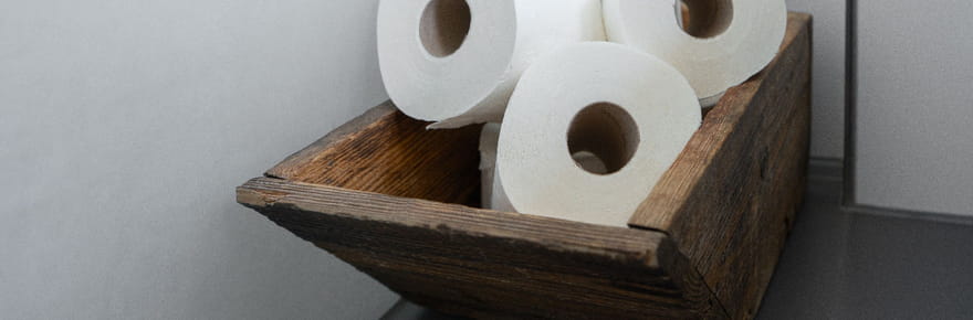 &quot;Humidit&eacute;, moisissures et germes&quot;&nbsp;: pourquoi il ne faut jamais conserver le papier toilette &agrave; cet endroit