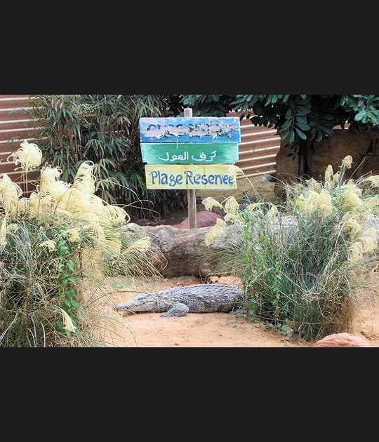 Plage r&eacute;serv&eacute;e aux crocodiles