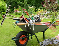 Jardin créole