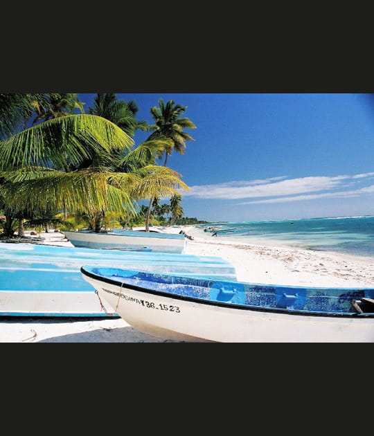 Saona