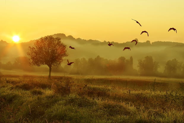 Divine lumière à Mirande