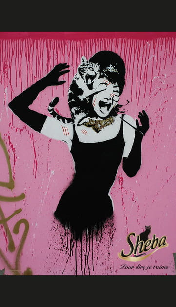 La p&acirc;t&eacute;e du chat