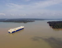 Les Caraïbes : Le retour du corail