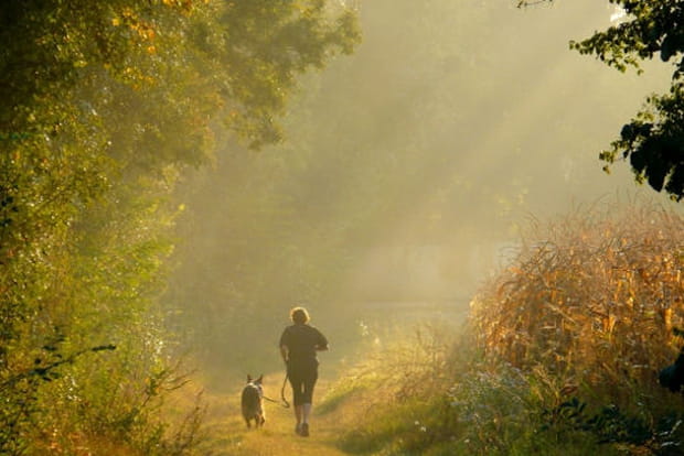 Le doux parfum de l'automne
