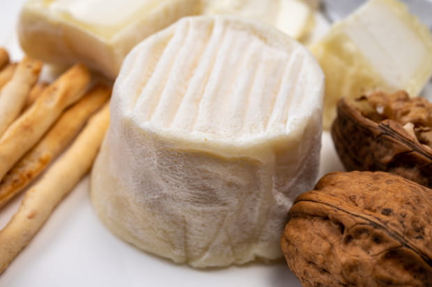 Berceau du crottin de Chavignol