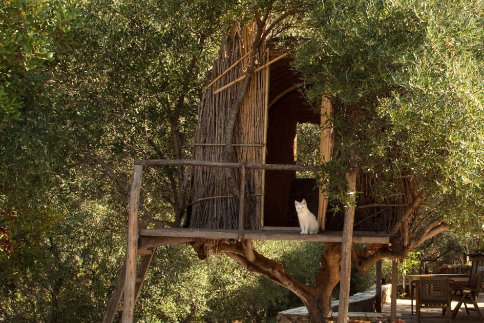 La ferme artistique Kalamata
