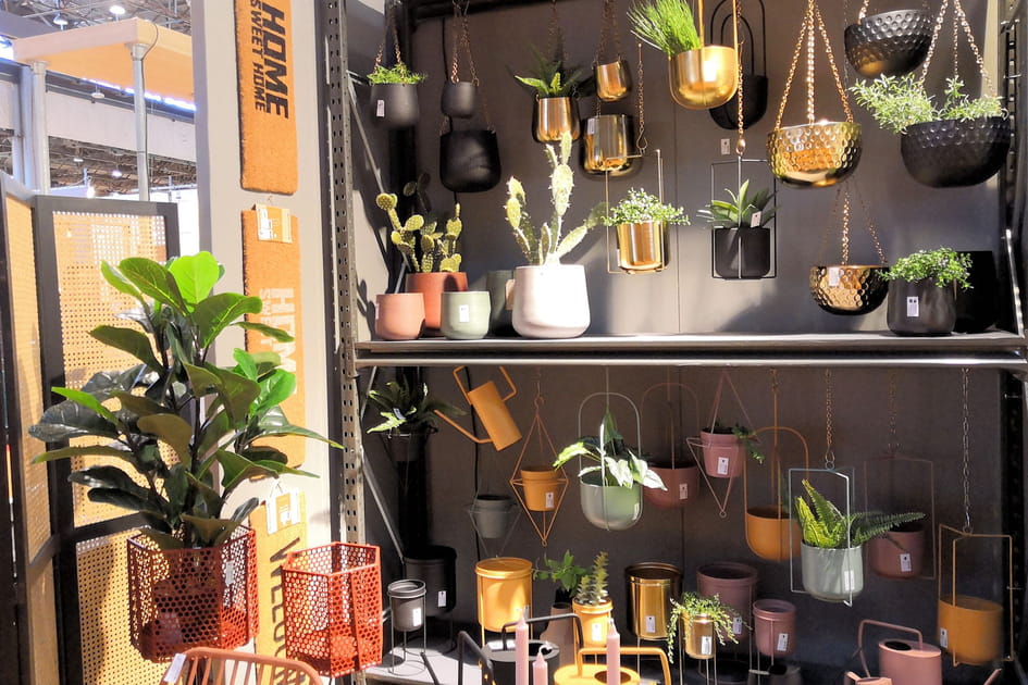 Des suspensions pour plantes de toutes les couleurs